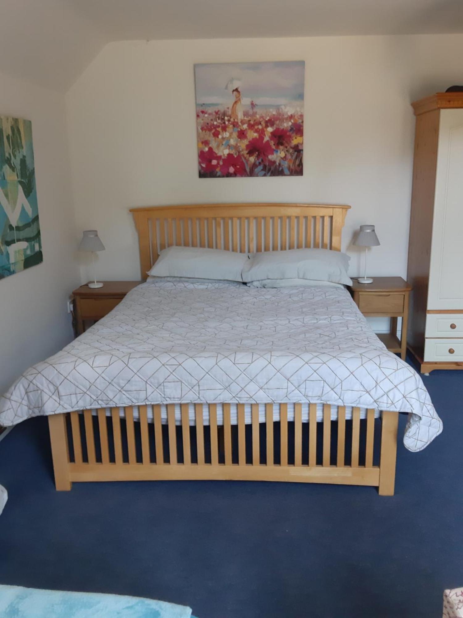 Bed and Breakfast Kyleard Ryan Monasterevin Zewnętrze zdjęcie